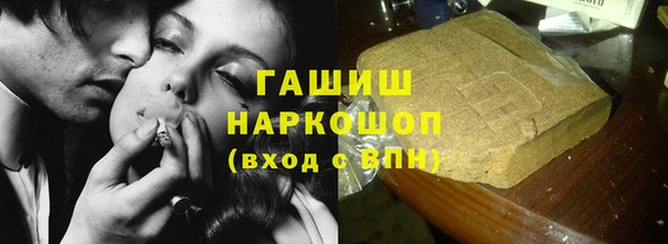 индика Абаза