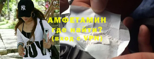 индика Абаза