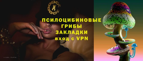 индика Абаза