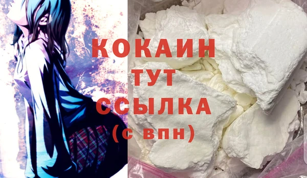индика Абаза