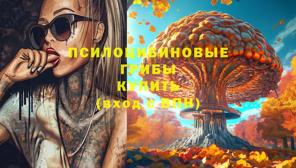 таблы Пересвет