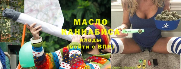 индика Абаза