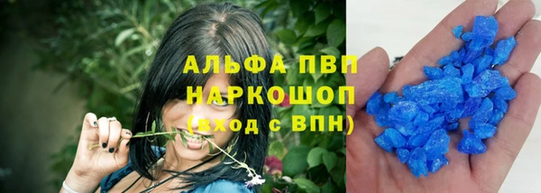 индика Абаза