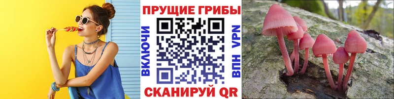 Псилоцибиновые грибы Psilocybine cubensis  ссылка на мегу ССЫЛКА  Сусуман 