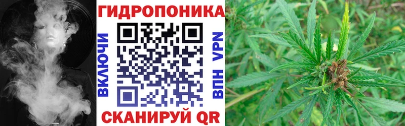 блэк спрут ссылки  Сусуман  Конопля THC 21% 